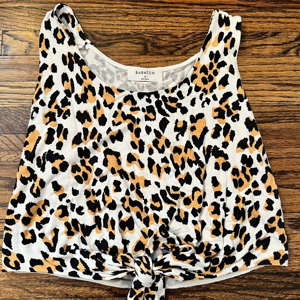 Aritzia Babaton Tank